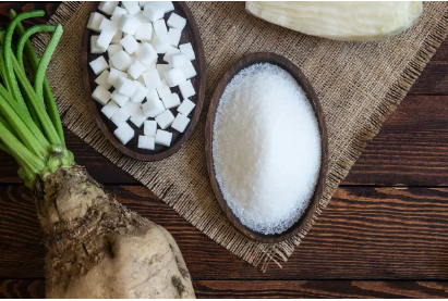 Progress of the agricultural campaign: forecast production of the three main cereals, legumes down, sugar beet is estimated at 1.5 million tonnes. Reports