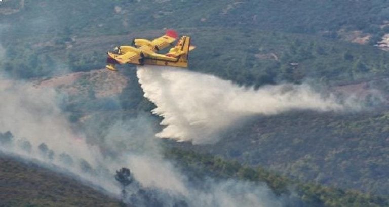 Taza: A fire in Ghayat Bord, Aknoul district, covers about 30 hectares