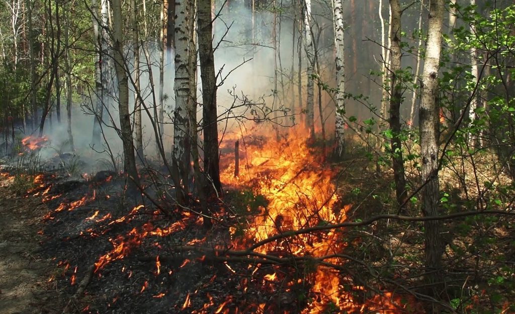 The National Agency for Water and Forests publishes maps that proactively predict where fires will occur