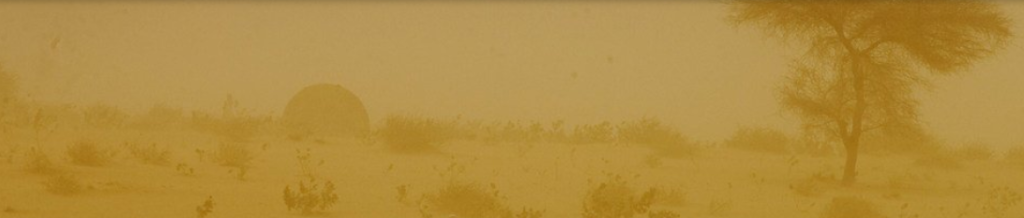 WMO: Every year, 2,000 million tons of dust enter the atmosphere. Consequences