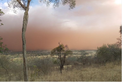 WMO: Sand and dust storms and their environmental, economic and health impacts