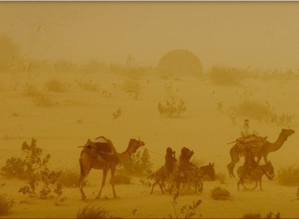 WMO: When poor environmental management increases the risk of sand and dust storms worldwide