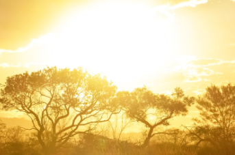 Weather/ Alert bulletin with “orange” vigilance level: heat wave