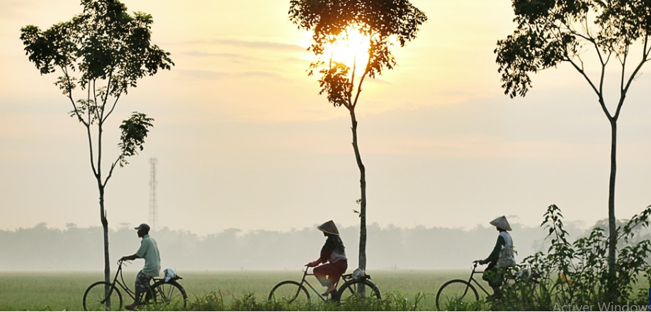 at the start of August: this frightening heat