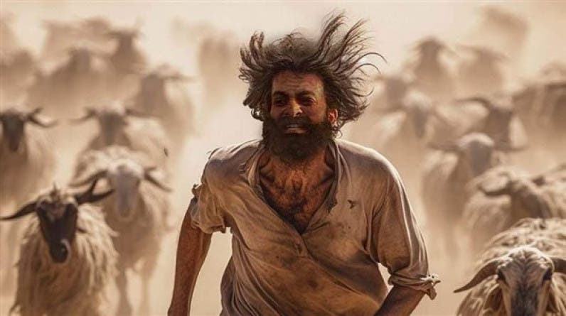 Moroccans compare ANAPEC's bad job offers to the movie "A Goat's Life"