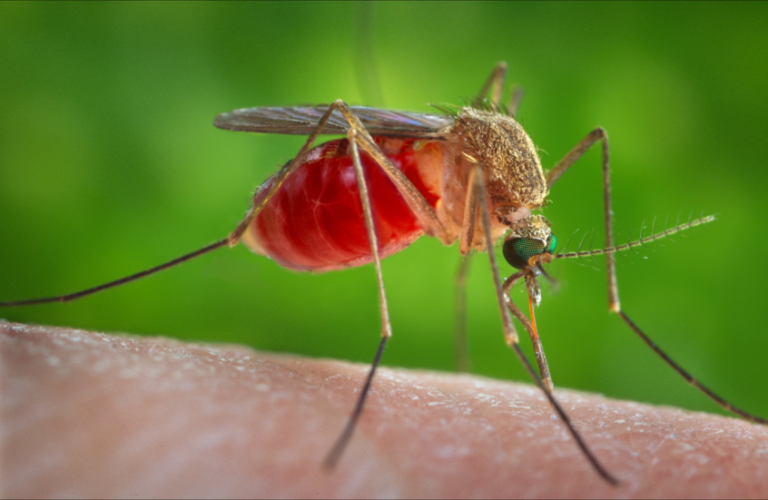 A dangerous new virus threatens the world!