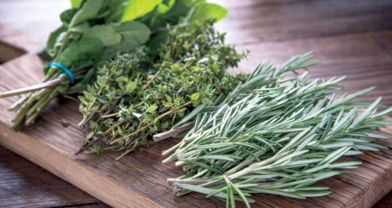 Agadir: Mafia smuggles “natural herbs” from the Adaoutnan Mountains