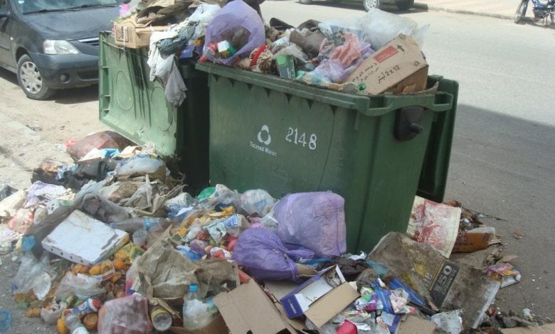 Bani Ansar.. A skull in the shape of a donkey's head was found in a trash can