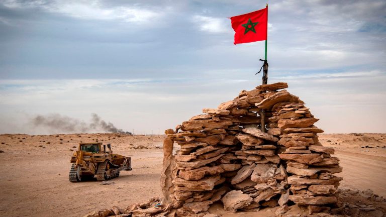 Brazilian political scientist: France has adopted a wise position to resolve the Sahara conflict