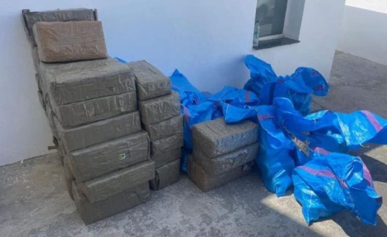 Guerguerat: 4,198 kilograms of Shera were seized
