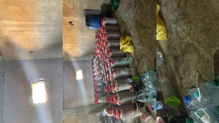 Moulay Abdullah Season… Drones and trained dogs have enabled the discovery of an unprecedented quantity of brandy