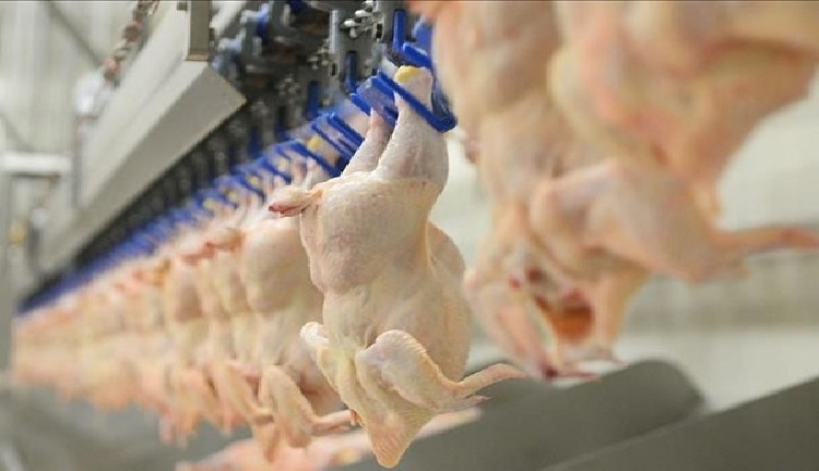 Poultry prices soar