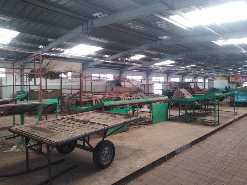 Settat… Has the model market experiment failed or failed?