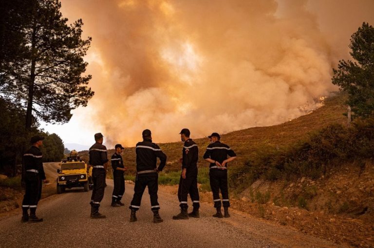 Study: Wildfire smoke may be more harmful to the brain than other air pollutants