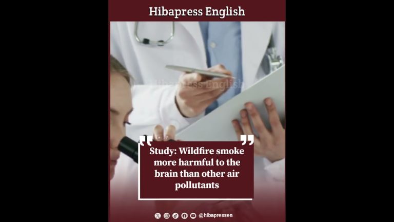 Study: Wildfire smoke more harmful to the brain than other air pollutants