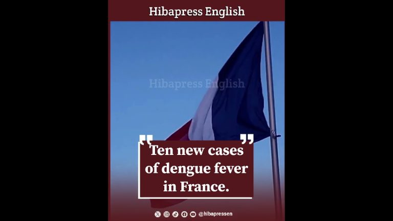 Ten new cases of dengue fever in France.