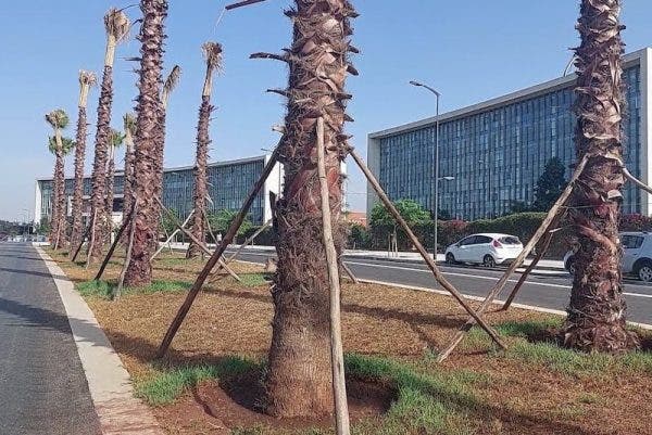 Le mouvement d’empêchement « Imagine Cities » envisage de manifester devant le Parlement