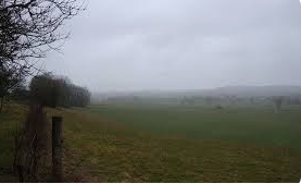 Weather: Drizzle