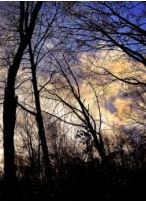Weather: Slight drop in temperatures