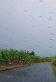 Weather: drizzle and showers