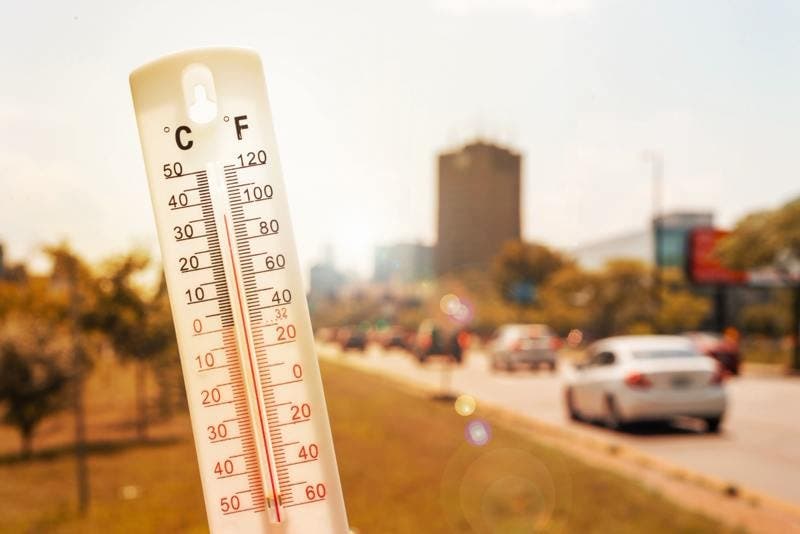 Weather forecast for Monday: high temperatures in various regions of the Kingdom