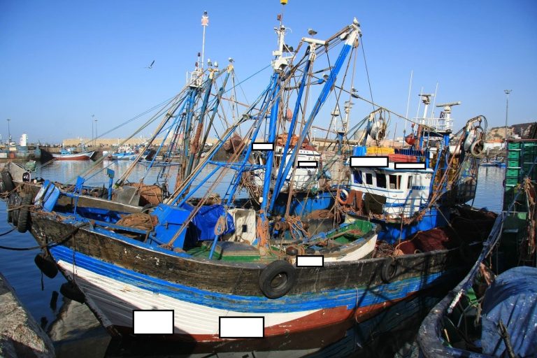 Agadir: “Boats” arrested after violating maritime fishing regulations