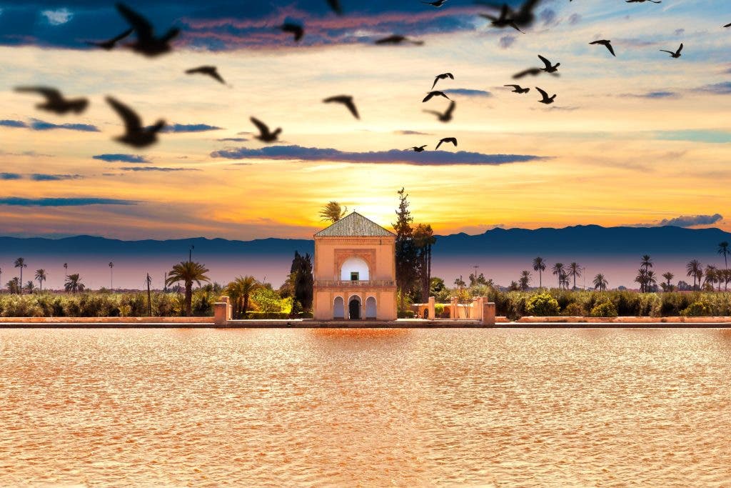 Ammor presents the results of the summer tourist season to the government