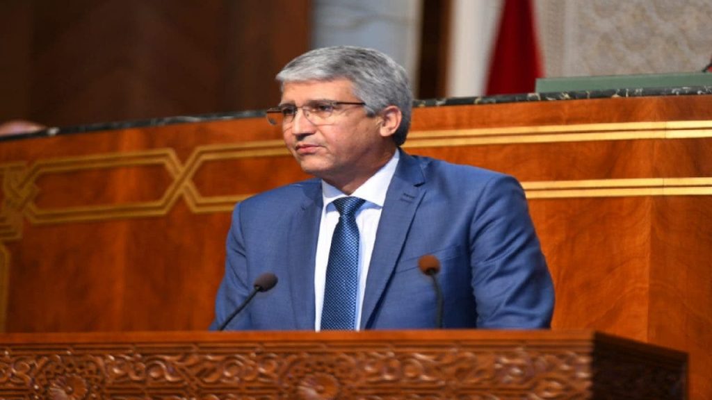 An upcoming meeting between maritime fishing professionals and Minister Al-Siddiqi to discuss the constraints of the sector