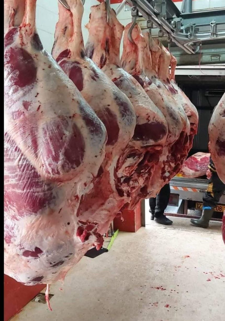 Ban on slaughter of unnumbered cows worsens red meat crisis