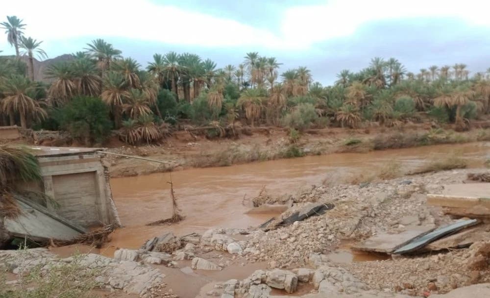 Details of flood losses in the agricultural sector in the southeast