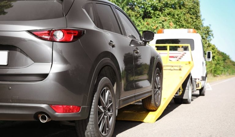 Dibanaj Transport Sector takes care of disseminating an information system for remote services