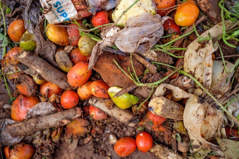 Food waste is a global tragedy