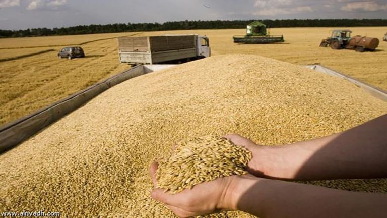 In figures… this is the amount that the State has supported to support imports of sugar and wheat.