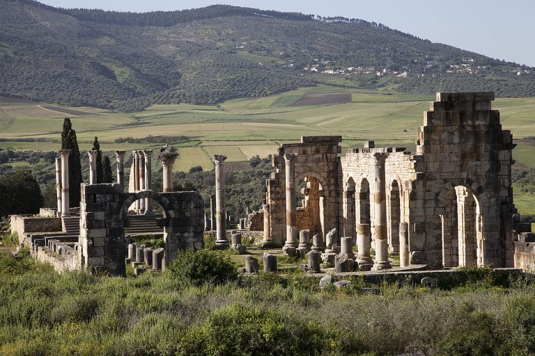 Meknes: Large-scale rehabilitation operation of the archaeological site of Volubilis