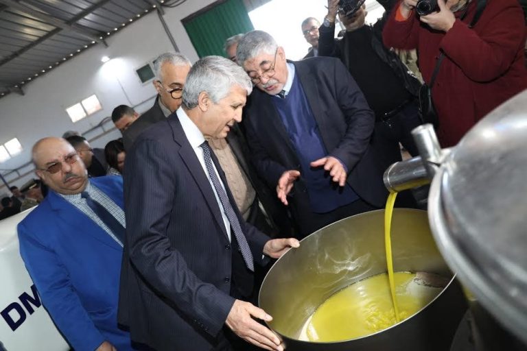 Moroccan traders await authorization from the Ministry of Agriculture to import “olive oil”
