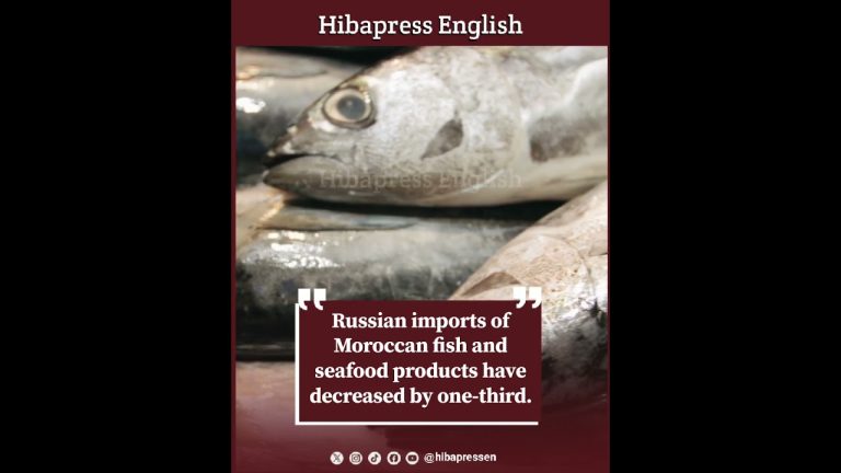 Russian imports of Moroccan fish and seafood products have decreased by one-third.