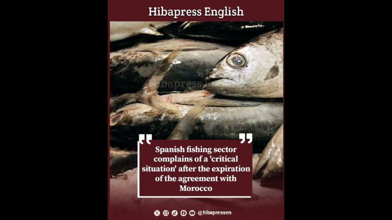 Spanish fishing sector complains after the expiration of the agreement with Morocco