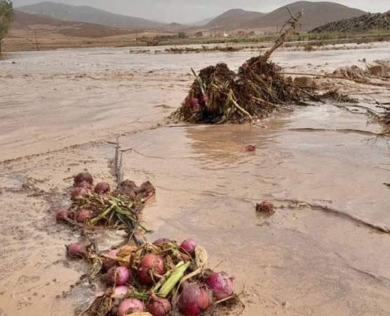 Storms and floods destroy crops, block roads in Pullman