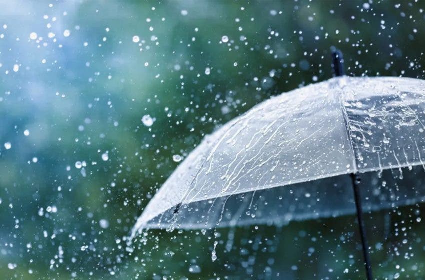 Thursday weather: Rain showers expected in these areas