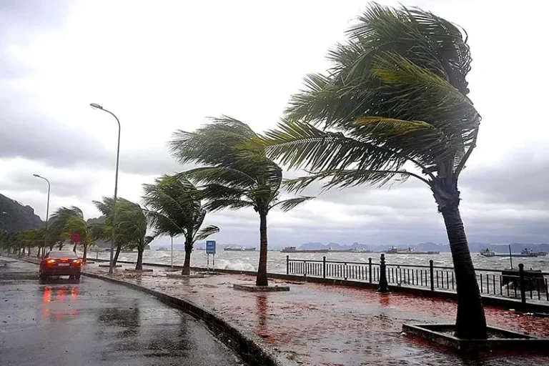 Warning bulletin… Thunderstorms accompanied by hail and strong winds