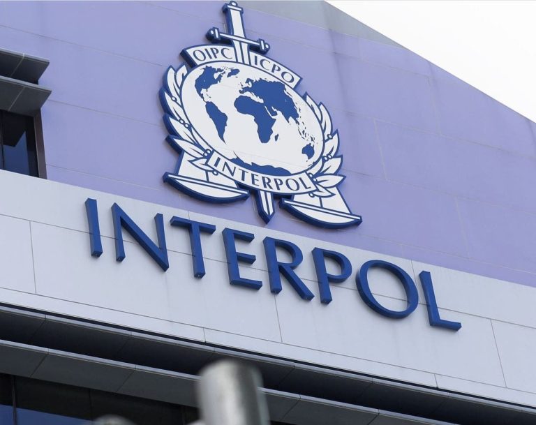 66 people were arrested during an anti-terrorism operation coordinated by Interpol in 14 countries, including Morocco.
