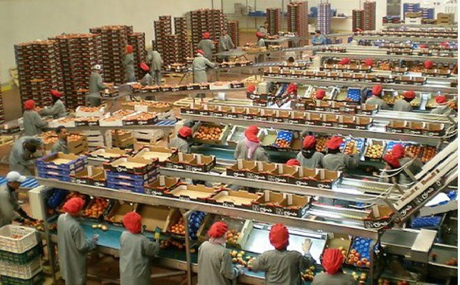 80% increase in Spanish fruit imports from Morocco