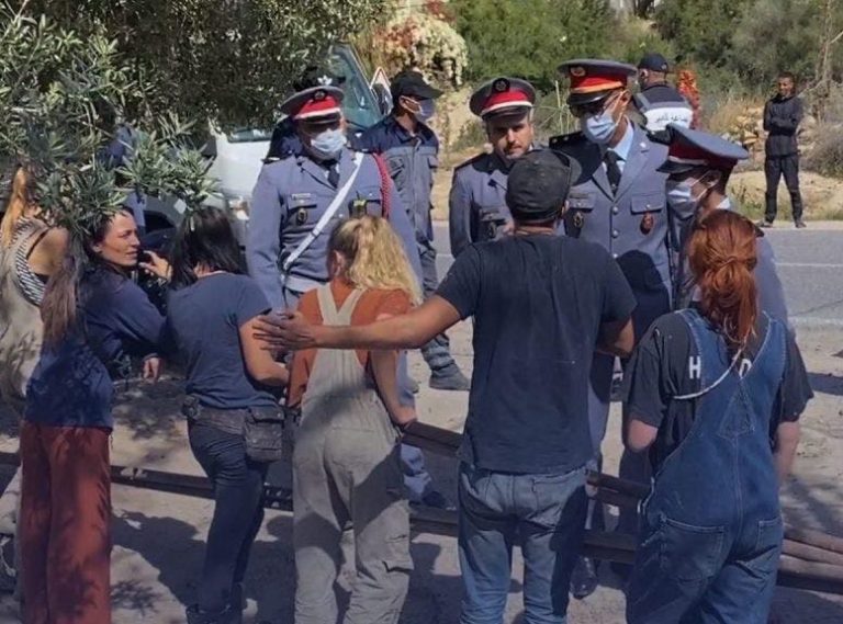 Agadir: Authorities order the evacuation of a place used by an environmental activist to collect stray dogs