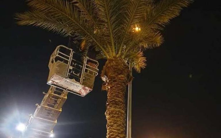 Agadir: saving a “cat” from certain death impresses animal protection associations