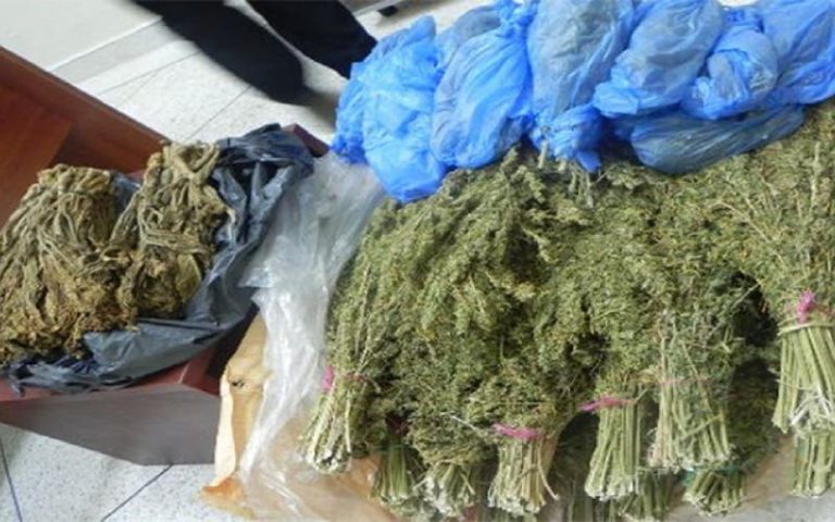 Chtouka police seize two tonnes of “Indian cannabis” drug