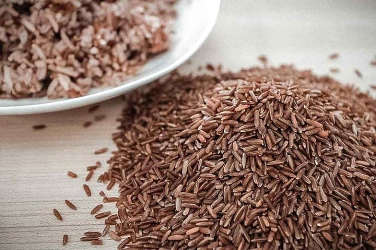 Finance Law.. The government exempts the importation of brown rice from taxes