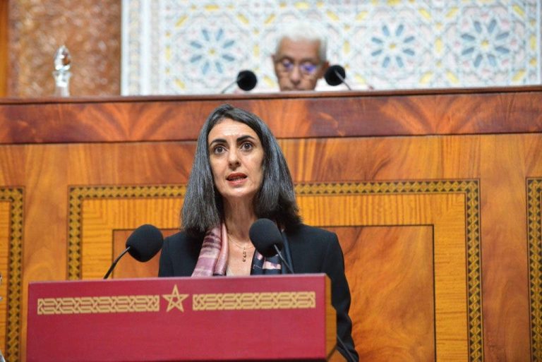 Finances 2025.. The Minister of the Economy reveals the details of the income tax reform