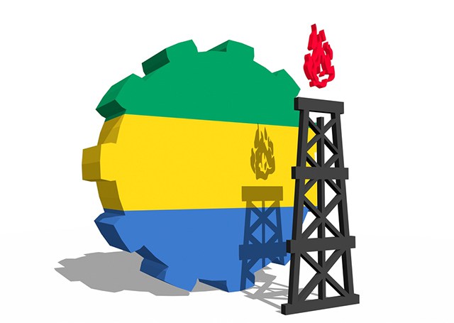 Gabon/Referendum: publication of the draft of the new Constitution