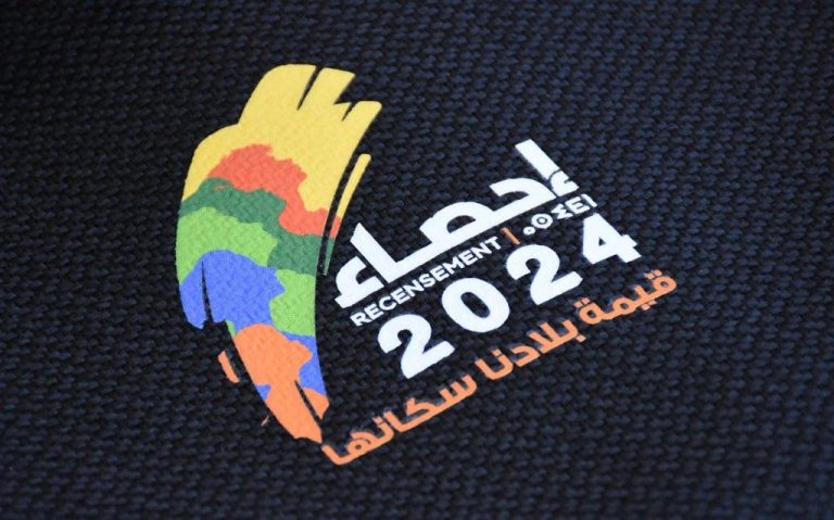 “General Census” 2024: End of the data collection stage from households
