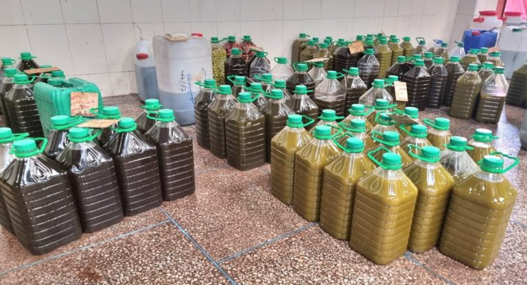 Guercif..the price of a liter of olive oil maintains last year's prices (video)